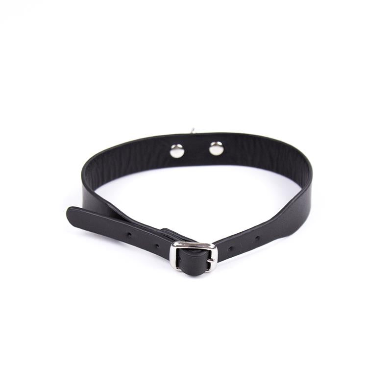 Collar Ajustable 43 cm Negro