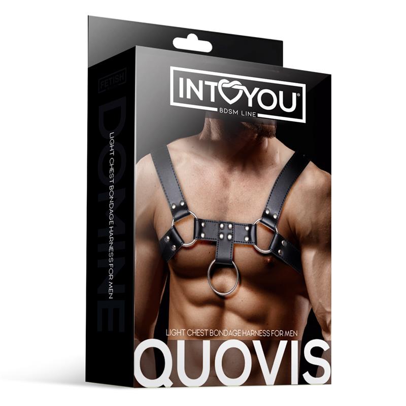 Quovis Arnes Masculino para Bondage Cuero Vegano